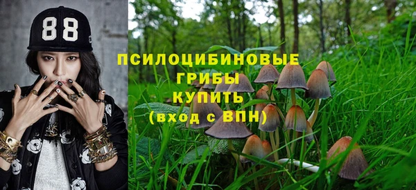 прущая мука Елабуга