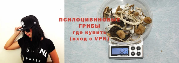 mdma Елизово