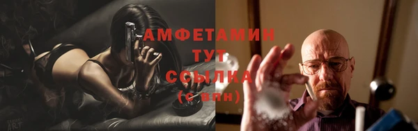 прущие крисы Ельня