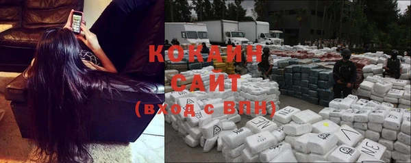 прущие крисы Ельня